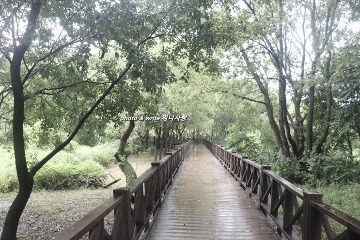 전남 광주 당일치기 버스여행 광주호호수생태원 휴심정