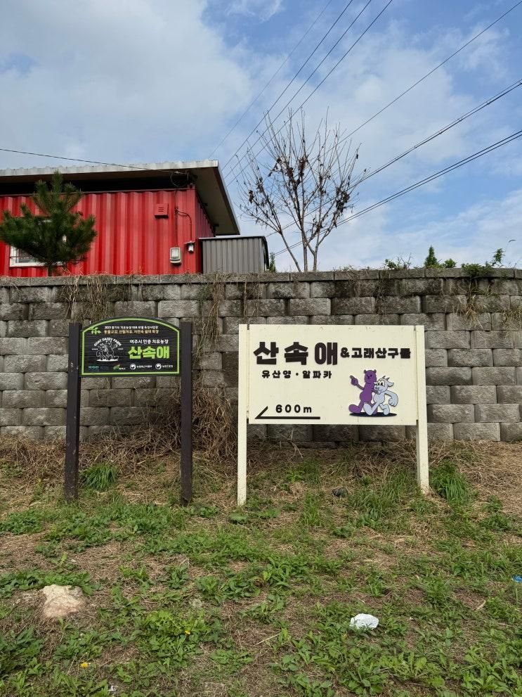여주가볼만한곳 산속애｜알파카와 포니 먹이체험...