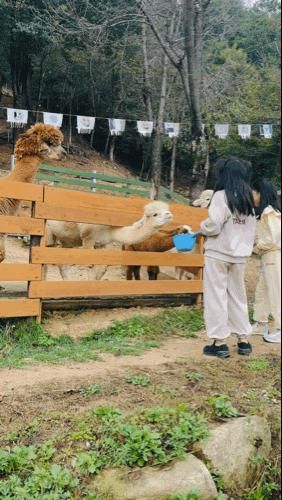 여주갈만한곳 산속애 동물체험 숲 놀이터