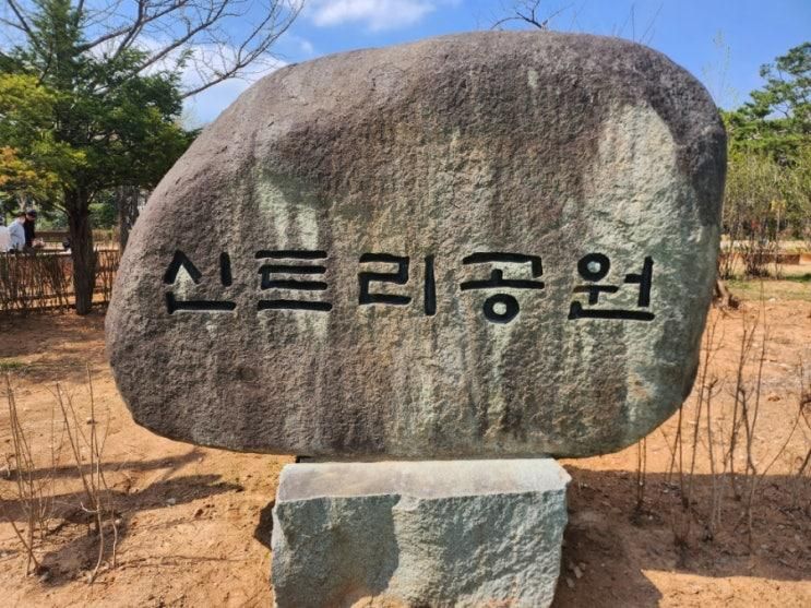 러닝하고 아이들과 놀기에 좋은 양천구 신트리공원