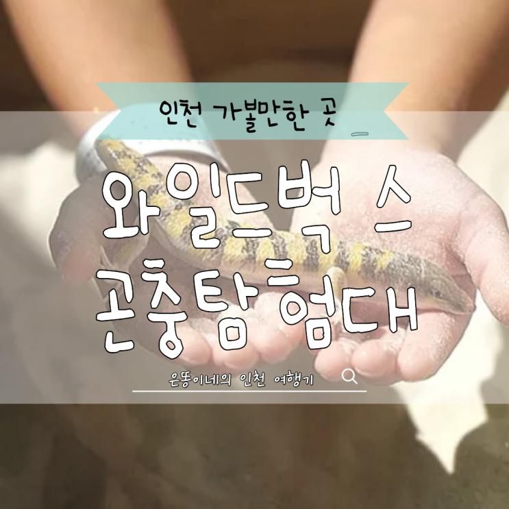 인천 월미도 와일드벅스 곤충탐험대 입장권 주차 실내 곤충체...