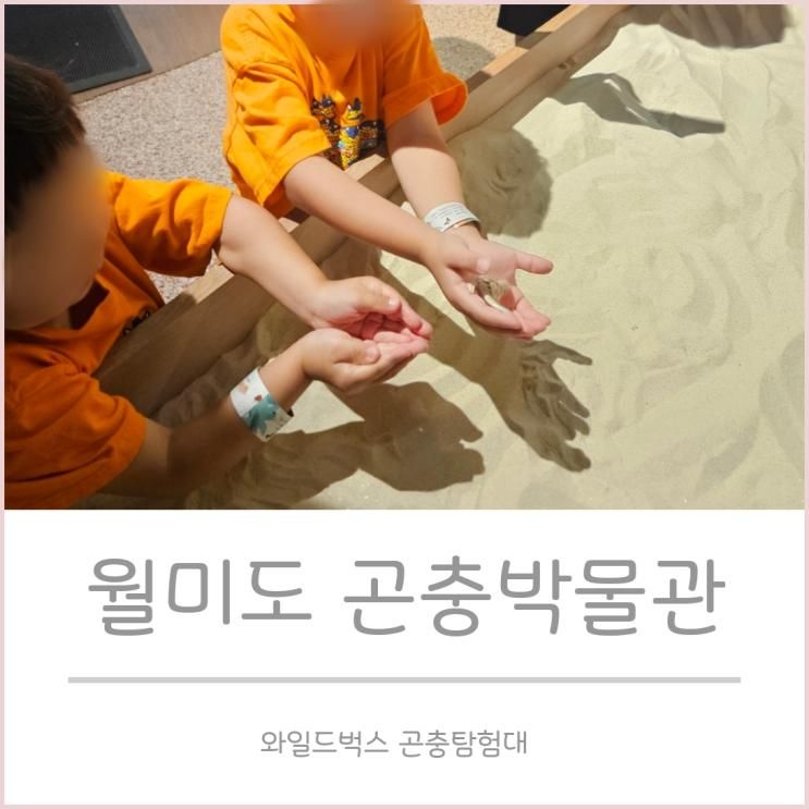 월미도 곤충박물관 주말오픈런 해본 와일드벅스 곤충탐험대...