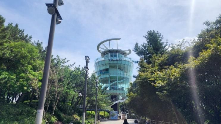 인천 월미도 전망대 카페 물범카 타고 월미공원 구경하기