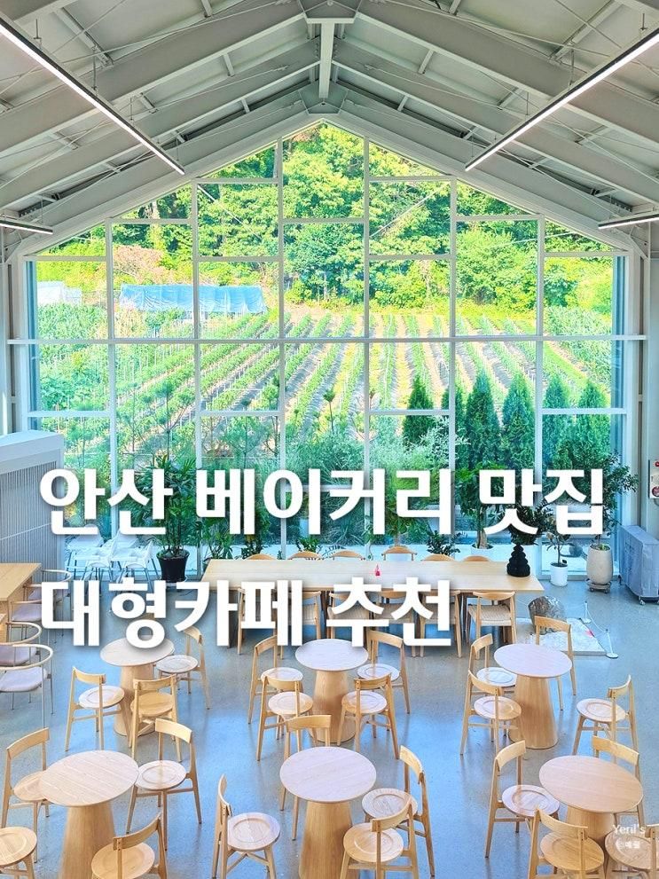 화정동 뷰 맛집 아이랑 갈만한곳 추천 521베이커리카페