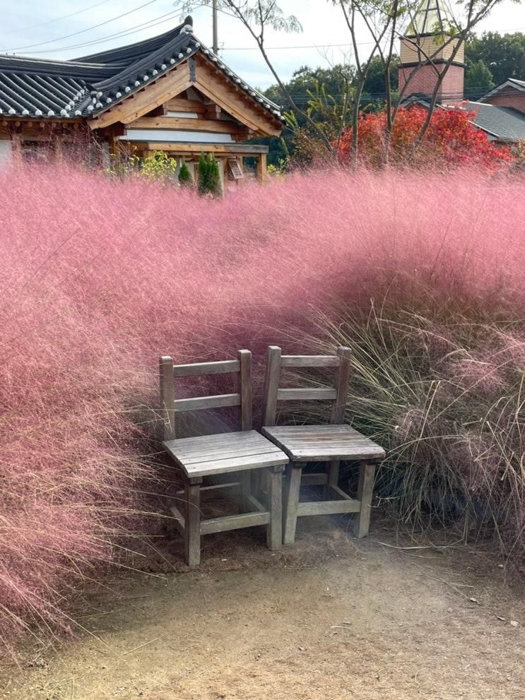 화성 디저트 카페 핑크뮬리가 있는 애견동반 카페 화림원
