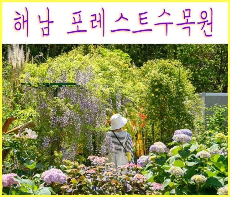 해남 포레스트수목원 5월 가볼만한곳 목향장미 핫플