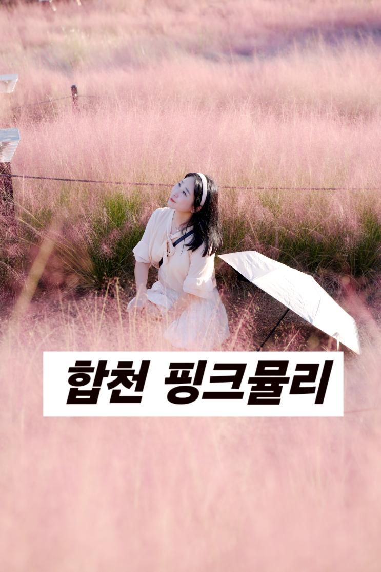 합천 여행 핑크뮬리 보려간 신소양체육공원 다녀온 찐후기
