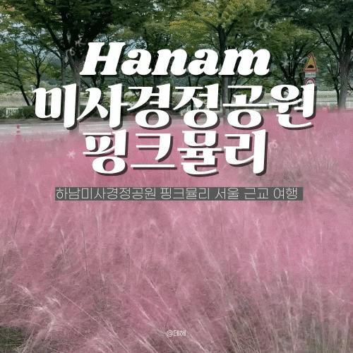 하남미사경정공원 핑크뮬리 서울 근교 여행 주차장위치