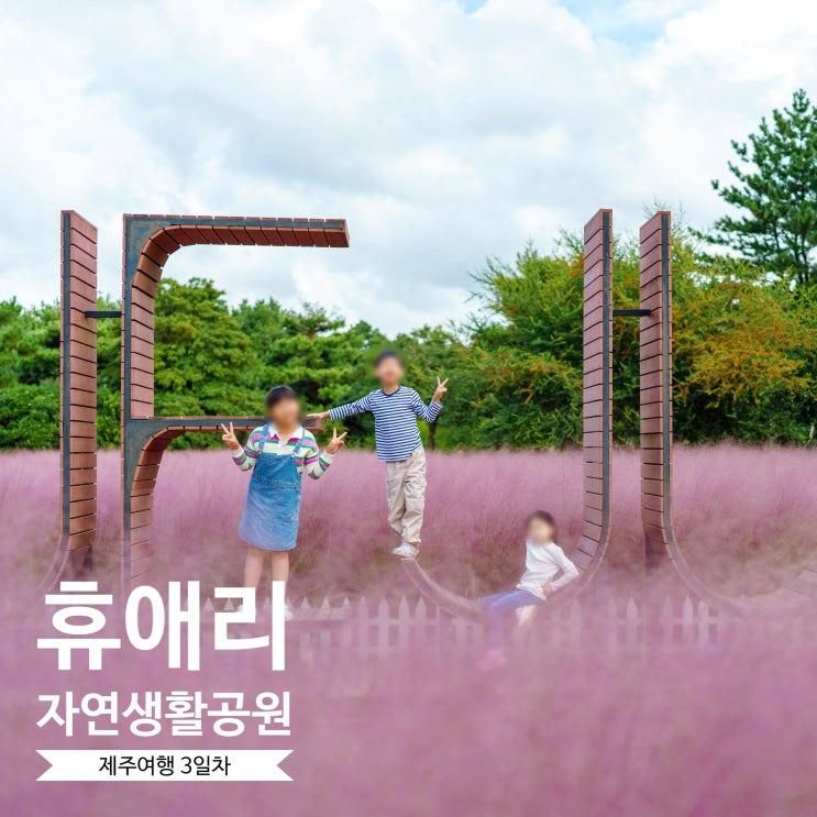 제주 휴애리 자연생활공원 10월 핑크뮬리와 웃음꽃 피는...