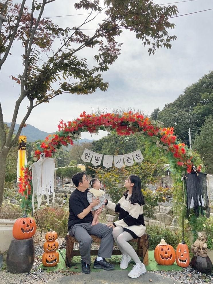 서울근교 당일 캠크닉하기 좋은 파주 캠핑장 시즌온 관광농원