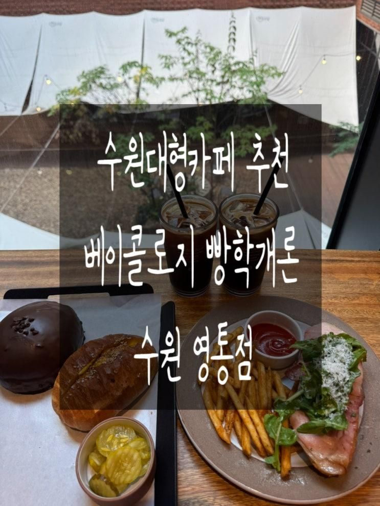 수원대형카페 영통베이커리 맛집 베이콜로지 빵학개론...