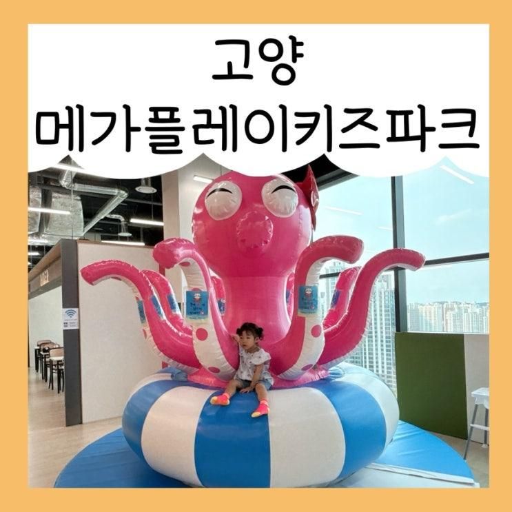 고양 키즈카페 메가플레이키즈파크 일산 (주차, 식사...