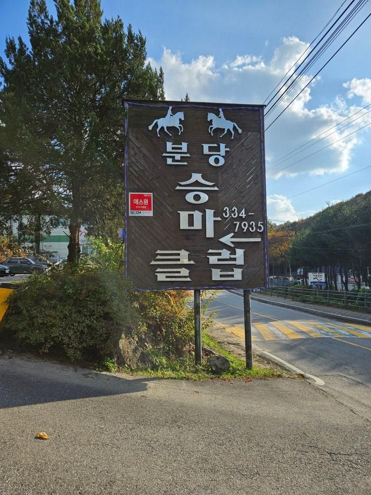 [분당승마클럽] 말과 교감의 시간, 승마장추천