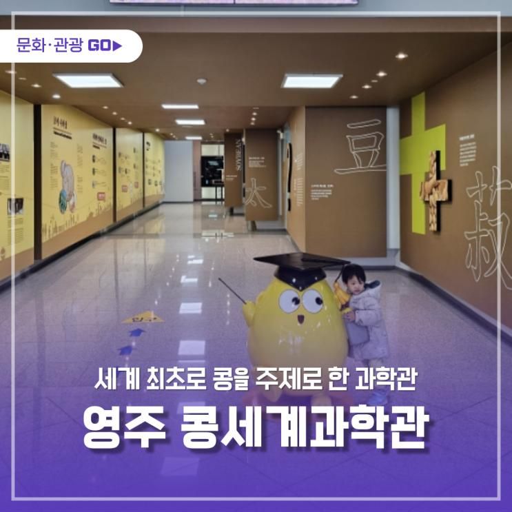 유일무이 영주 콩세계과학관
