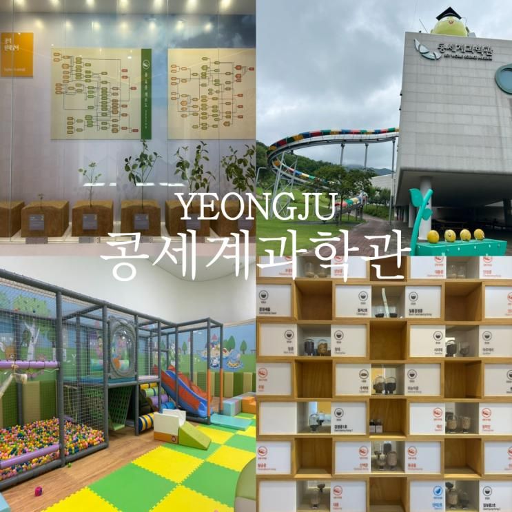 콩세계과학관 전시 콩놀이터 영주 아이랑 가볼만한 곳