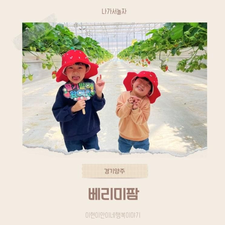 양주 아이랑 가볼만한 신규 오픈한 딸기체험농장, 베리미팜