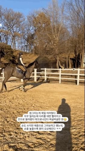 143. 팀피스테이블 기승 비용, 후기, 정말 오랜만에 건국승마장!