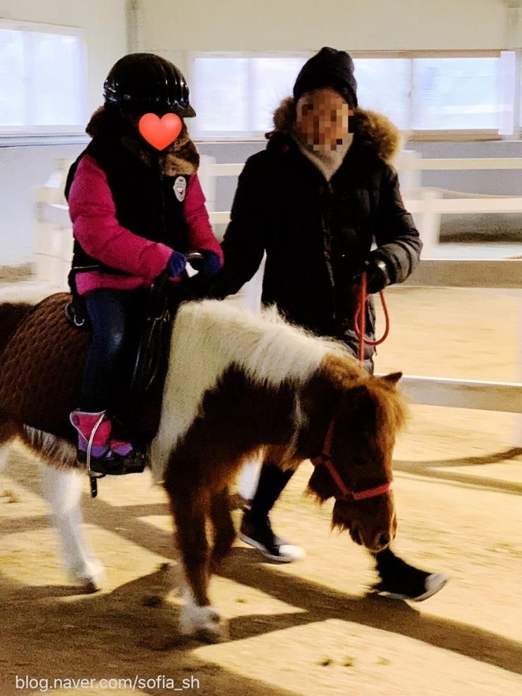 어린이승마체험 :: 서울근교 양주 멜버른 승마장