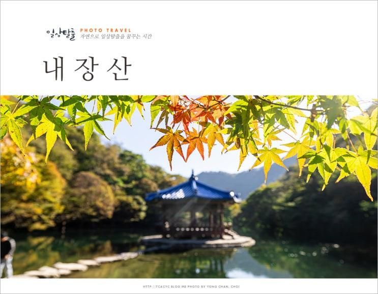 10월 24일 실시간 내장산 단풍 구경 내장산국립공원 내장사