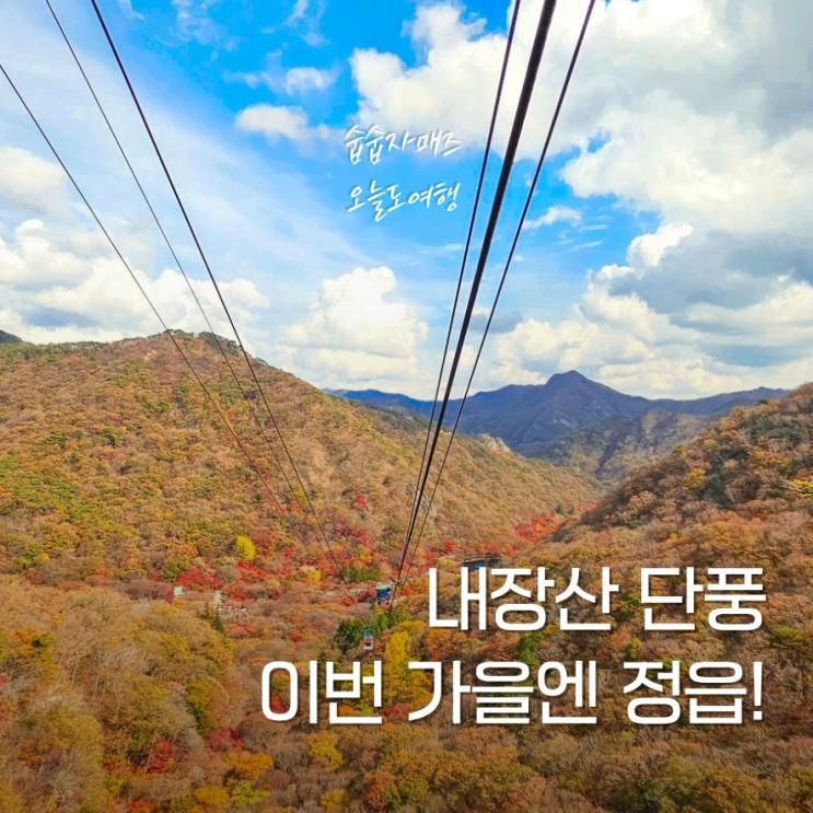 내장산 단풍 절정시기 내장산 국립공원 예약 케이블카 2025...