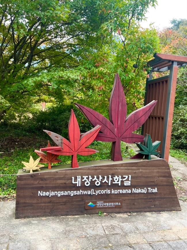 전북 아이와함께 가볼만한 곳 내장산단풍축제 내장산국립공원