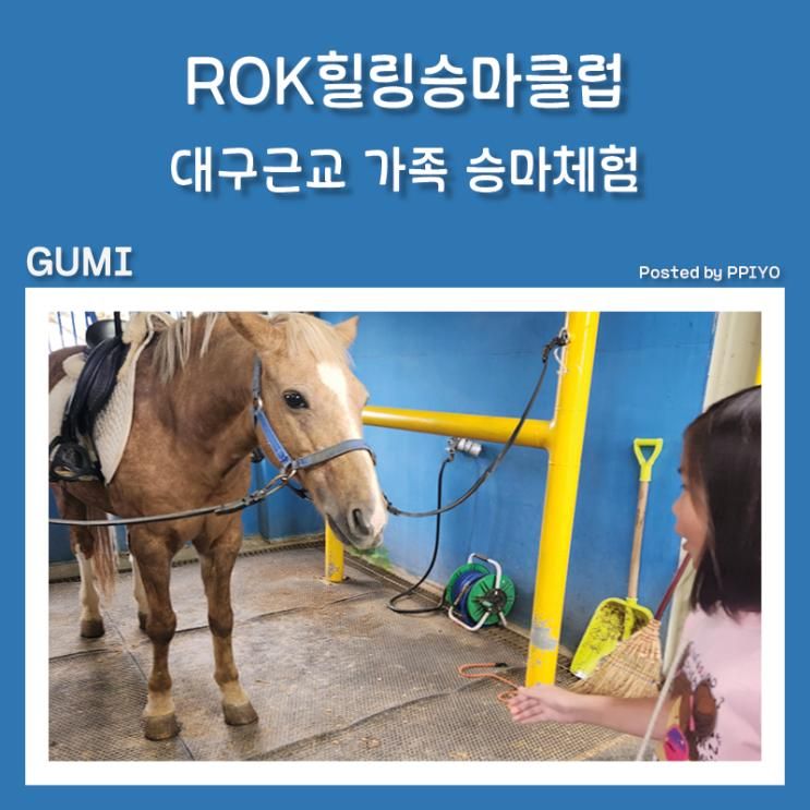 대구근교 구미승마체험 말타요 가족과 즐기는 ROK 힐링승마클럽