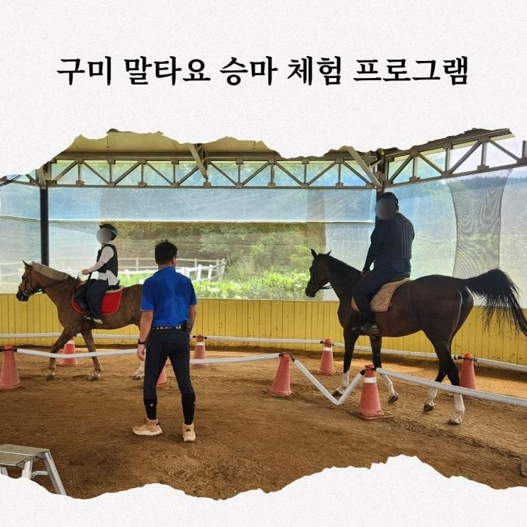 구미승마체험 가족과 함께 즐기는 구미ROK힐링승마클럽...