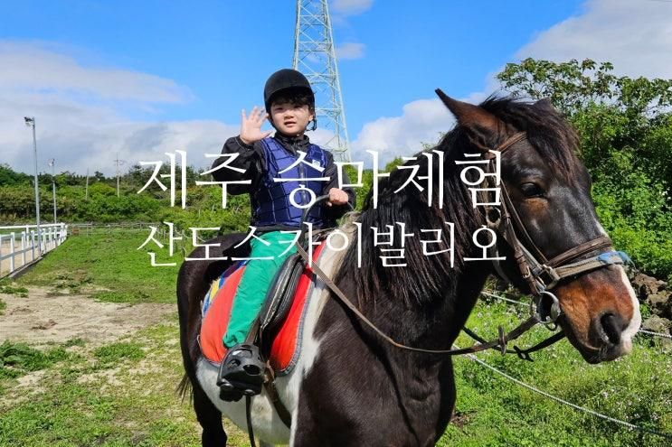 곳 산도스카발리오 홀스 파크에서 승마 체험 및 말먹이 주기...
