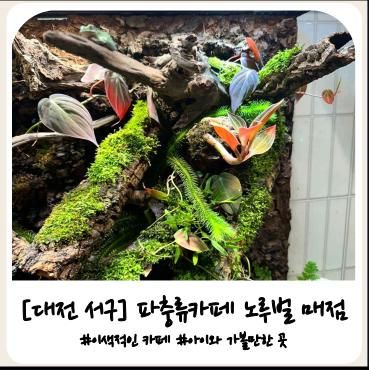 대전] 파충류 카페 ‘노루벌 매점’, 아이와 갈볼만한 곳!