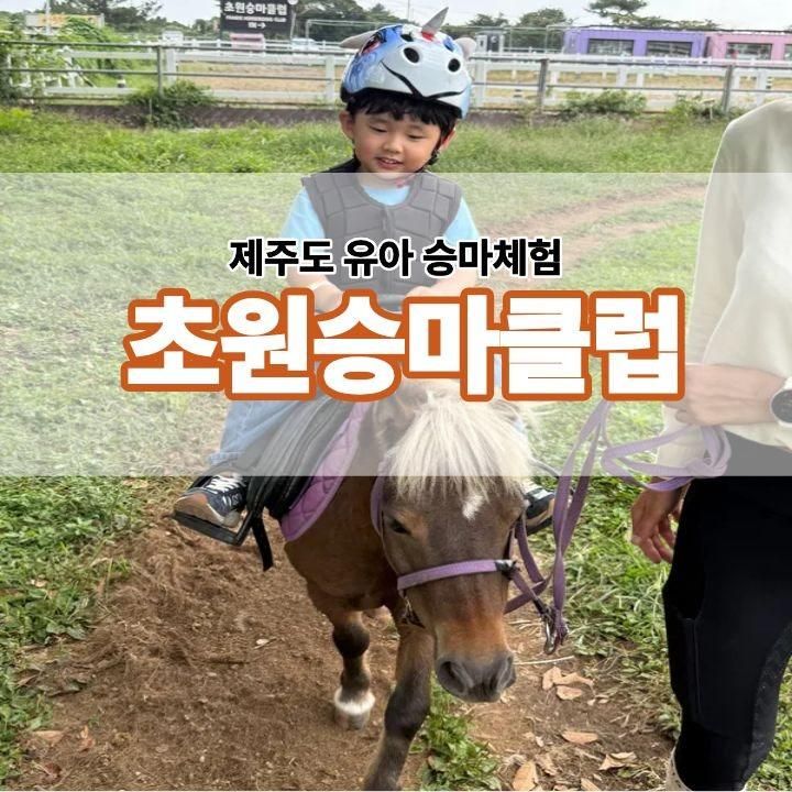 제주도 38개월 유아 승마체험 서귀포 초원승마클럽 먹이주기...