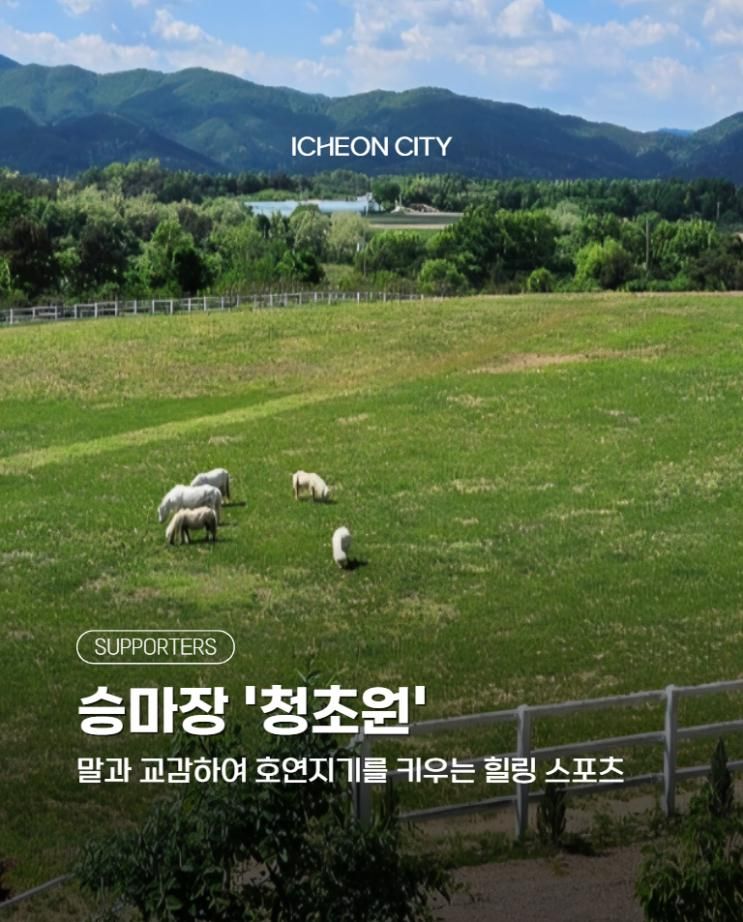 이천 가볼만한 곳 청초원 승마장, 자연속에서 힐링 스포츠...