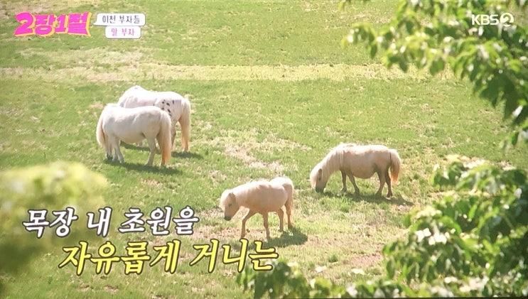 2장1절 이천 청년농부 미미사진관 경찰관 청초원 승마장