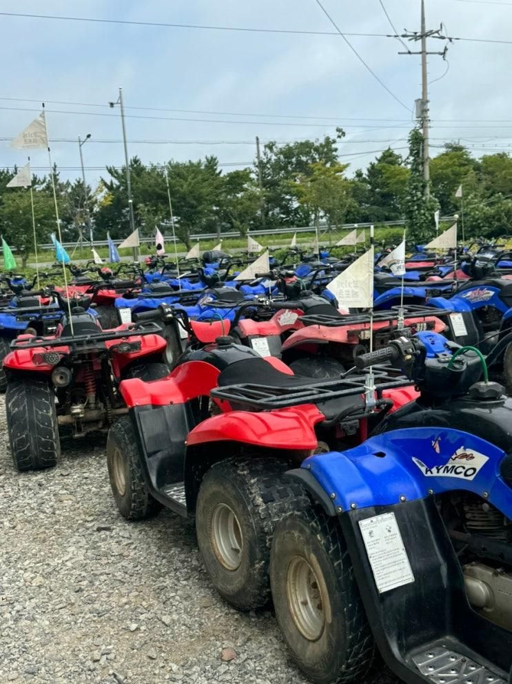 안면도 태안 atv 체험 내돈내산 무지개레포츠