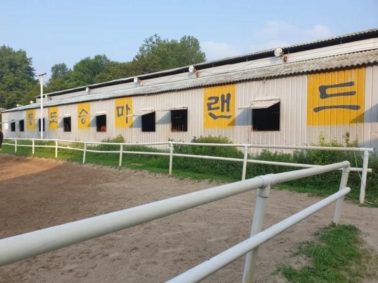 통도승마랜드... 안환용 감독님 첫번째