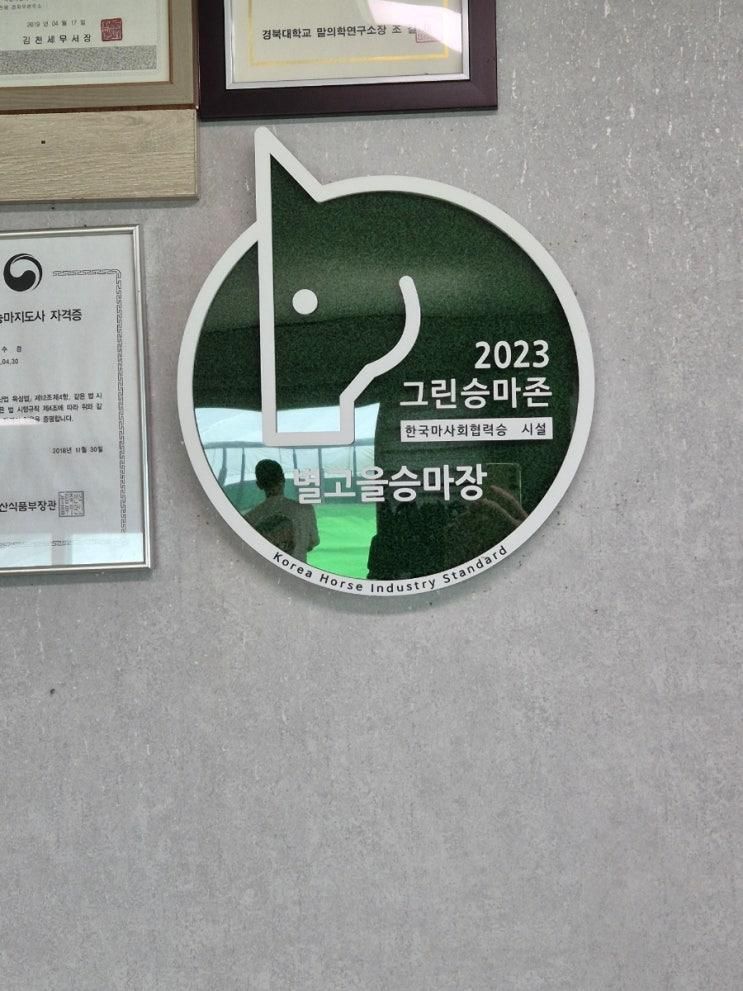 경북 칠곡군 신나는 주말 체육 별고을승마장에서 승마 수업...