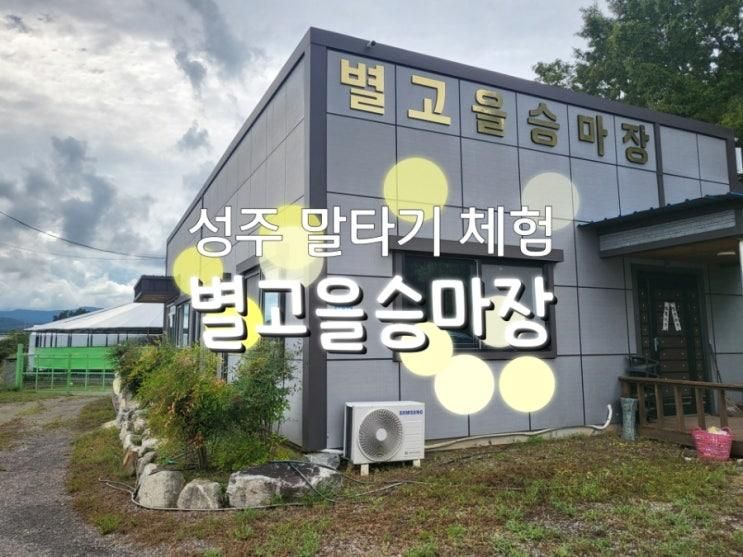 성주승마장 아이들과 가볼만한곳 성주말타기체험 별고을승마장