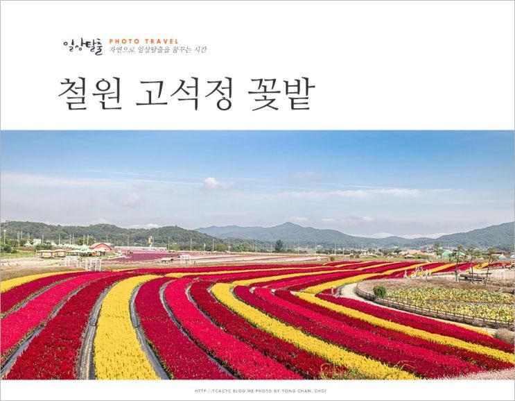 강원도 철원 가볼만한곳 고석정 꽃밭 입장료 꽃축제