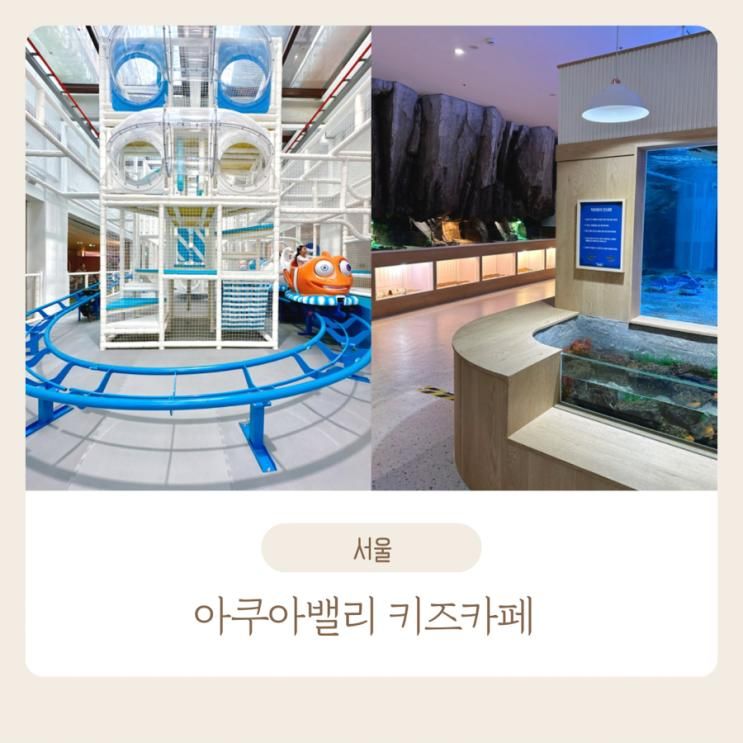 서울 신상 키즈카페 아쿠아밸리