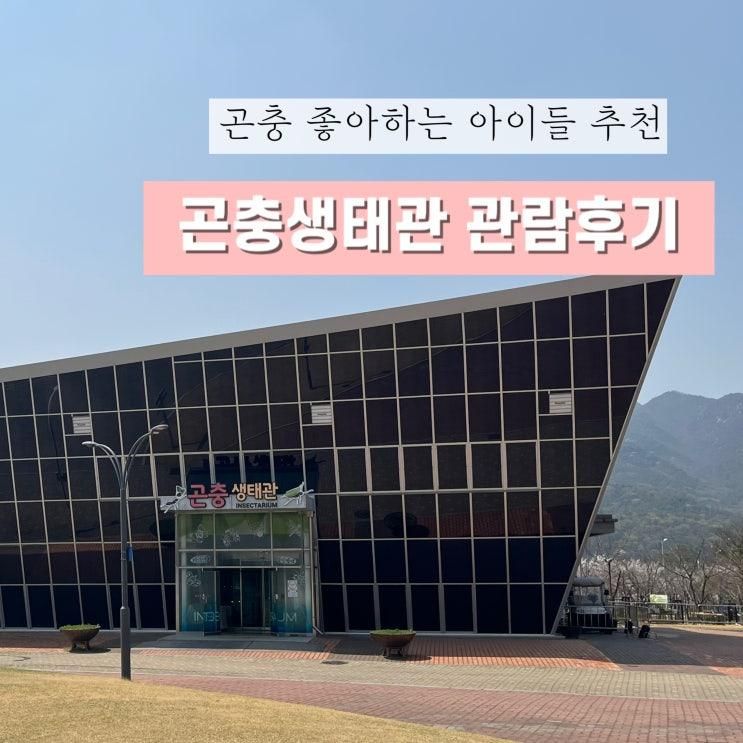 곤충 좋아하는 아이들 추천, 국립과천과학관에서 곤충생태관에...
