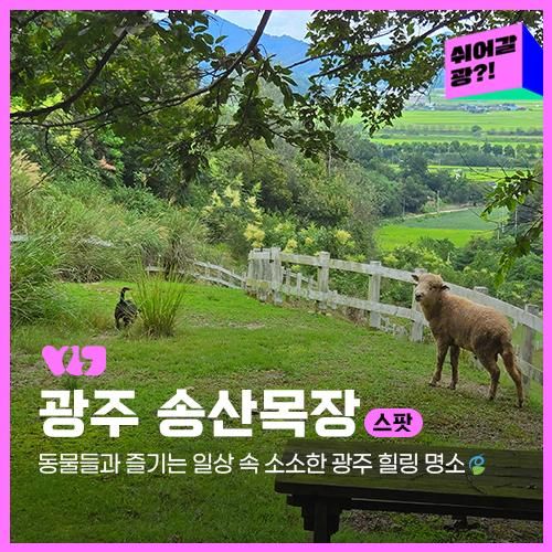 동물들과 즐기는 소소한 광주 힐링 명소 광주 송산목장