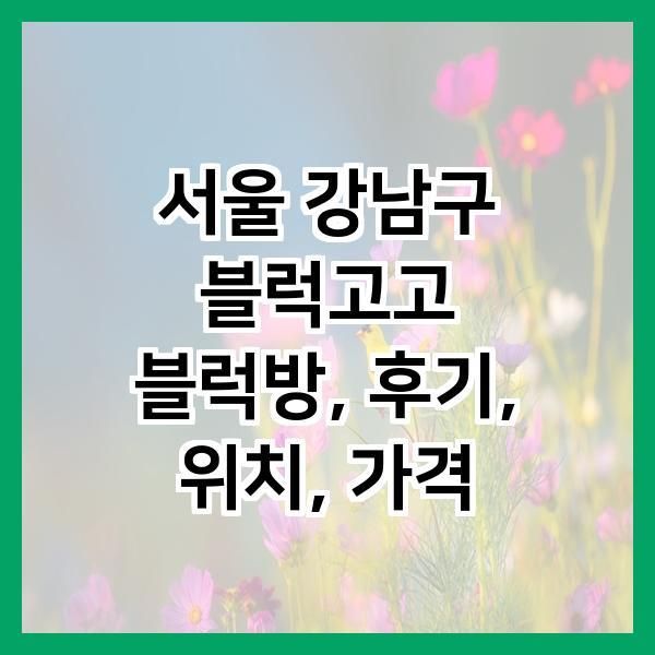 서울 강남구 블럭고고 블럭방, 후기, 위치, 가격
