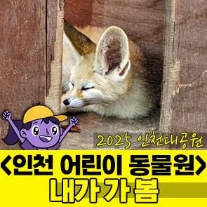 인천대공원 어린이 동물원 다녀왔습니다.(20251009)