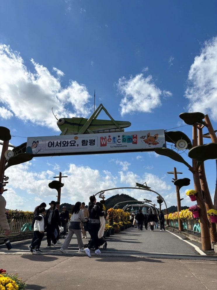 함평국화축제/국향대전/광주근교가볼만한곳/함평엑스포공원...