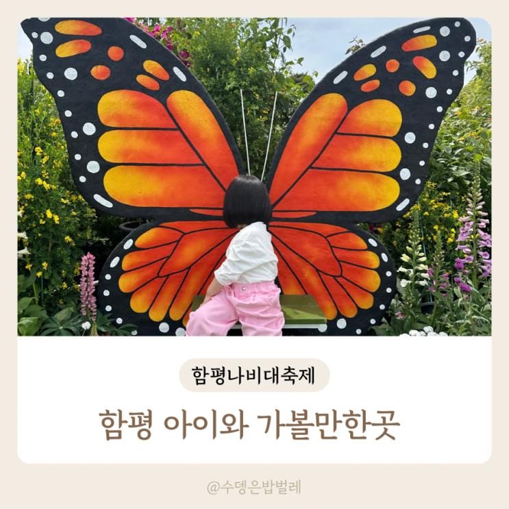 함평 나비대축제 아이와 가볼만한곳 엑스포공원 입장료