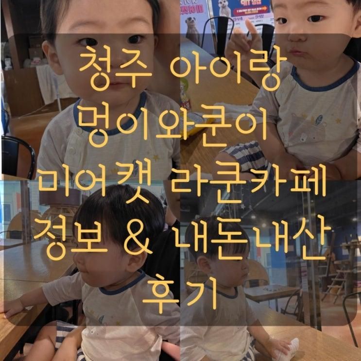 청주 실내 아이와 가볼만한 곳 멍이와쿤이 미어캣 라쿤카페...
