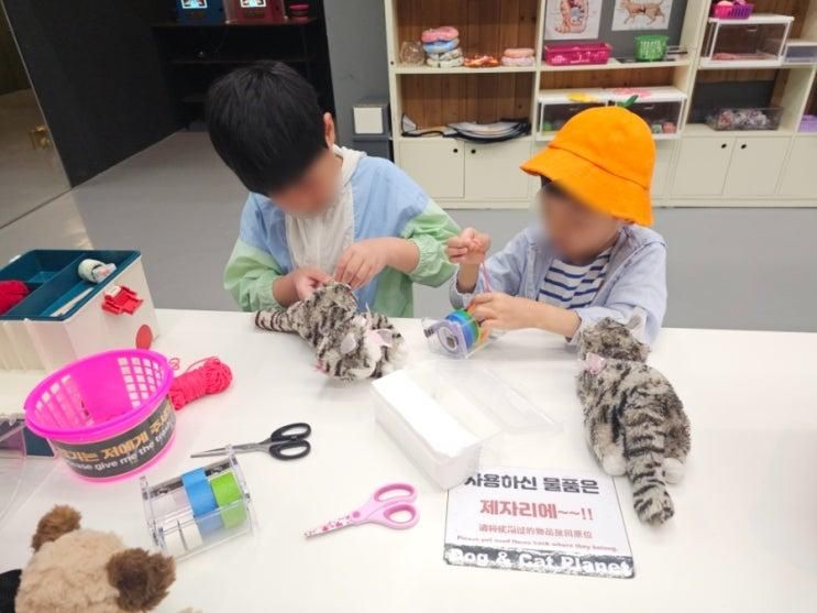 제주 아이랑 가볼만한곳 댕냥별 제주도 신화월드 실내 관광지