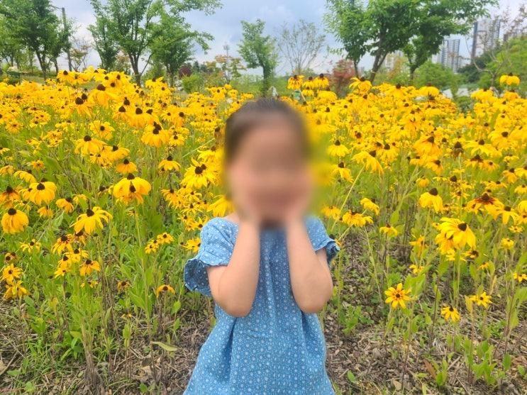 동탄 여울공원 주차장 피크닉 음악분수 아이랑 가볼만한곳