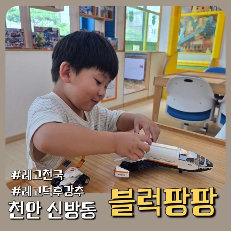 천안 레고카페 블럭팡팡, 아이가 푹 빠진 레고 세상