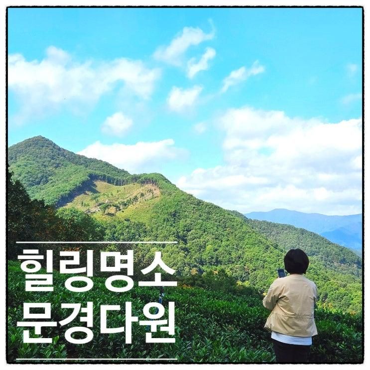 문경 숨은 힐링카페 녹차밭뷰 끝판왕 ‘문경다원’