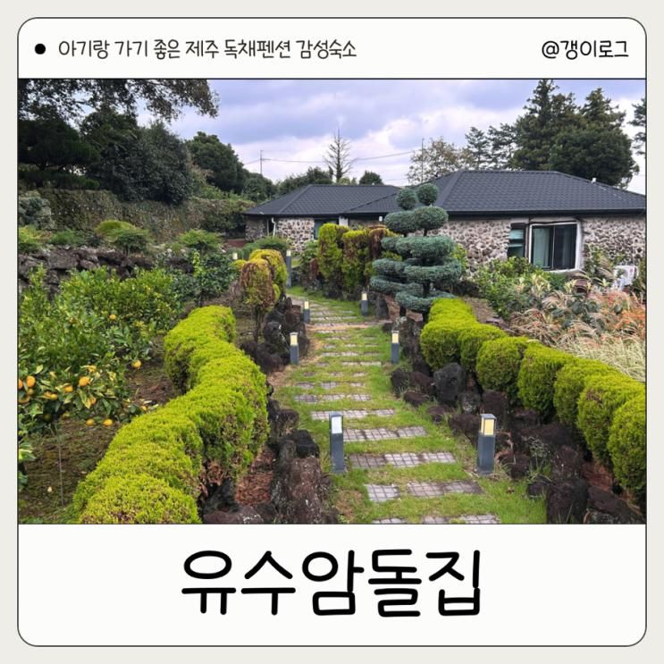 제주 애월 10개월 돌전아기랑 독채 감성숙소 유수암돌집...